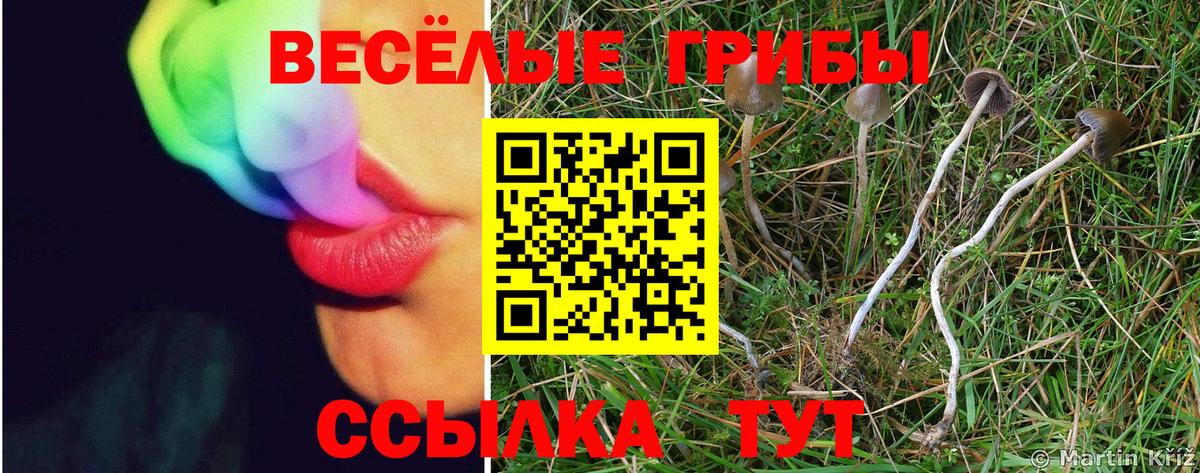 Лесосибирск  Псилоцибиновые грибы прущие грибы  Вход с VPN  Псилоцибиновые грибы Magic Shrooms 