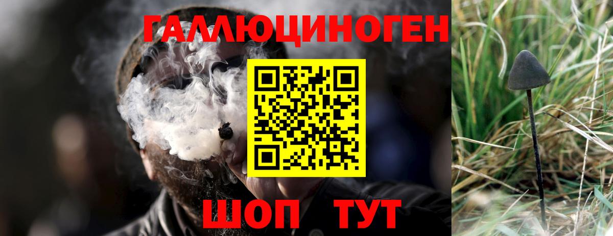 Псилоцибиновые грибы мухоморы Лесосибирск